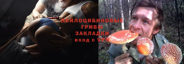 прущий лед Козловка
