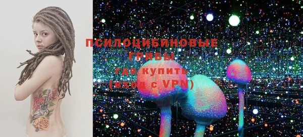 гашик Козельск