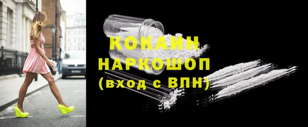 гашик Козельск