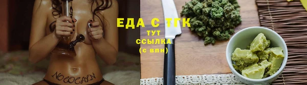 гашик Козельск