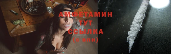 гашик Козельск