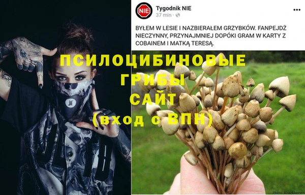 прущий лед Козловка