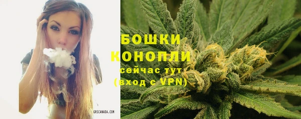 гашик Козельск