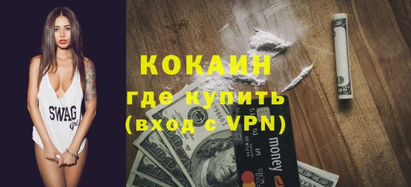 гашик Козельск