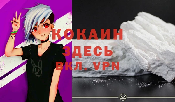 гашик Козельск