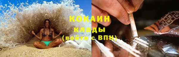 гашик Козельск
