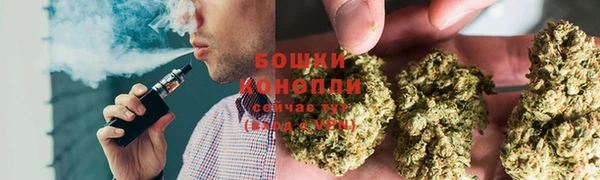 гашик Козельск