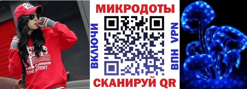 Галлюциногенные грибы Cubensis Суоярви